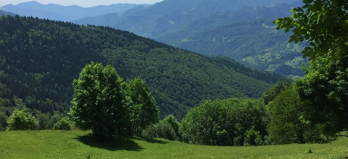 Moutain View