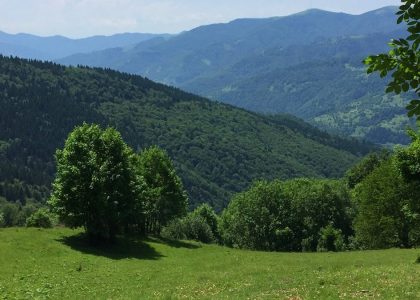 Moutain View